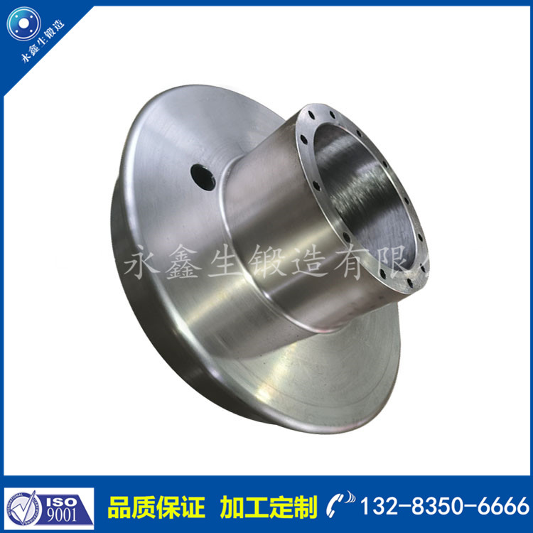 電動(dòng)轉(zhuǎn)盤(pán)車(chē)輪鍛件22.jpg